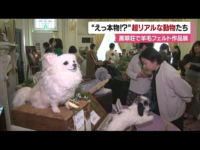 えっ、本物？」羊毛フェルトで超リアル“動物” 松山で地元作家の作品展