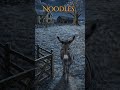 Meet Noodles | The Grumpiest Night Rider