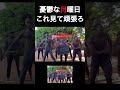 憂鬱な月曜日‥これ見たら何故かやる気が出てきた #violin #techno #soundtrack #remix #phonkagressive
