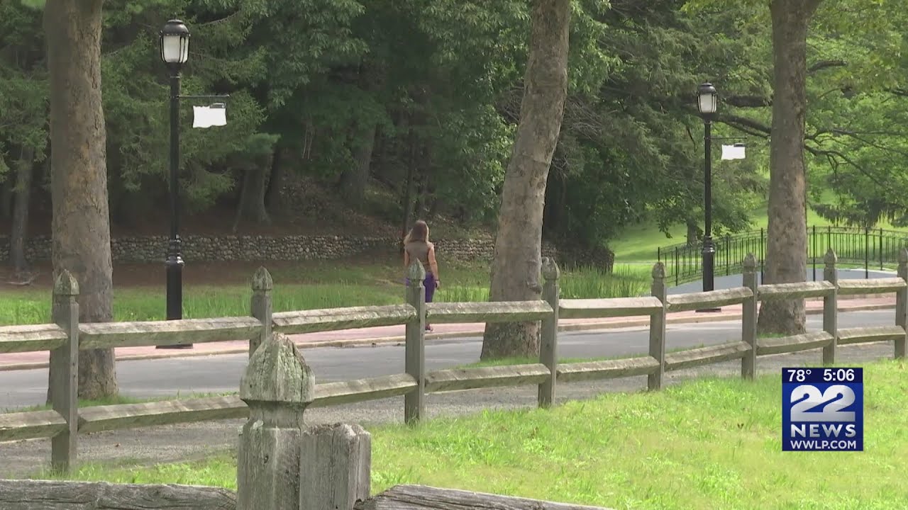 Allergies in August caused by ragweed