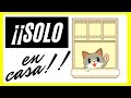 ❤🏡 MÚSICA para dejar GATOS SOLOS en CASA | [musica para GATOS]  🐱👍