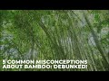 5 Common Misconceptions about Bamboo: DEBUNKED!