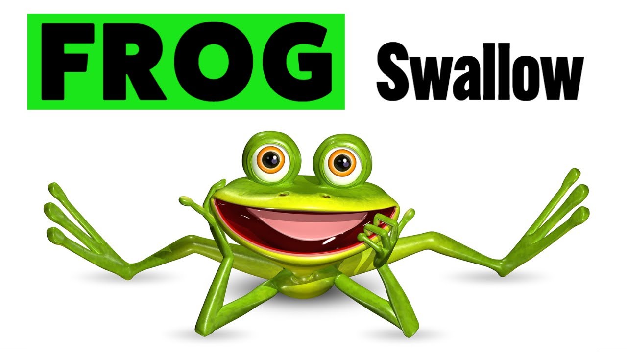 why-do-frogs-close-their-eyes-when-swallowing-youtube