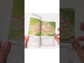 Flick through of Roman Colchester book