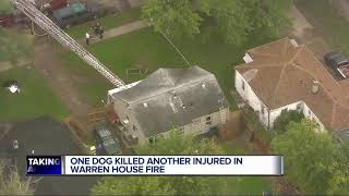 1 dog dead, another seriously injured in Warren house fire