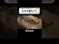 ASMR｜不思議なベッドで癒やされながら眠る
