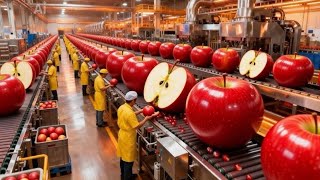 Inside a Modern Apple Processing Plant | From Red Apples to Sweet Apple Juice