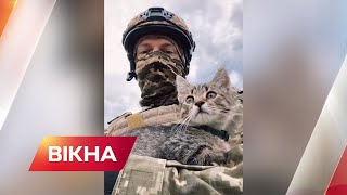 🐱🐶 Брати по війні: тварини на передовій підіймають настрій не тільки військовим ЗСУ