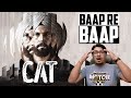 CAT Web Series REVIEW | NETFLIX | Yogi Bolta Hai