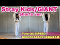 " Stray Kids / GIANT " Tutorial 解説 dance Mirrored ダンス 反転
