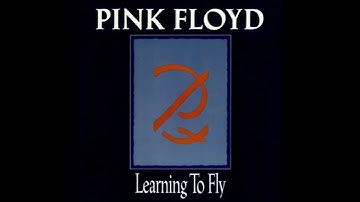 Learning to Fly (Live, Delicate Sound of Thunder (2019 Remix))  Pink Floyd | Audio World