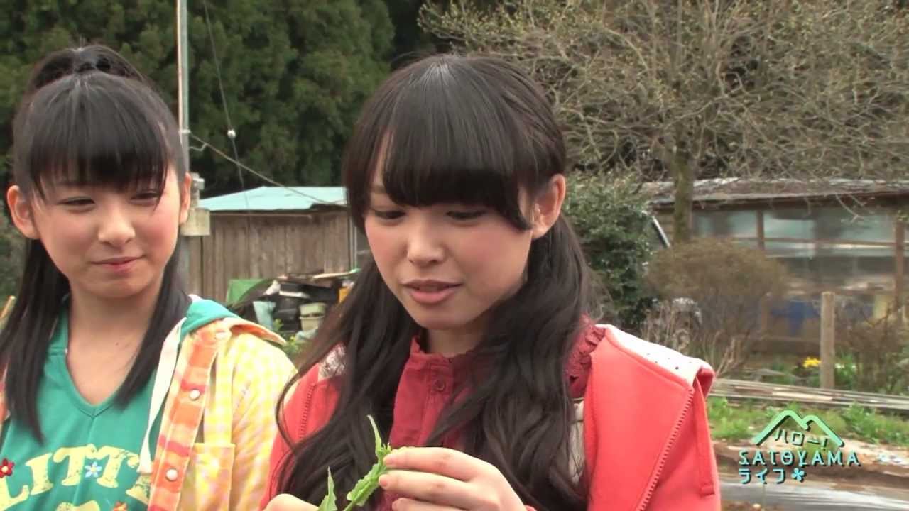 maxresdefault.jpg?sqp=-