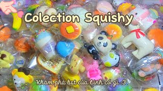 💗Collection Squishy 2024 ✨Khám phá xem bộ sưu tập của tuii có gì ⁉️Liệu có kỳ vọng hong 🙀#squishy