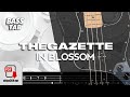 IN BLOSSOM / THE GAZETTE (ガゼット) 【BASS TAB】