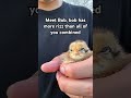 LMK if you guys want more Bob vids