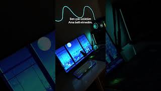 İçime attım #bilgisayar #setup #pc #sistem #gaming
