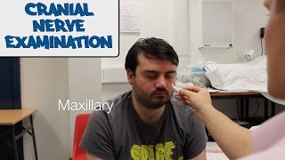 Cranial Nerve Examination  OSCE Guide (old version) | UKMLA | CPSA