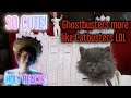 HOLY REACTS: Ghostbusters (Cute Kitten Version)