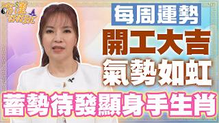 【每周運勢】開工大吉氣勢如虹！蓄勢待發顯身手生肖！｜0223~0301生肖運勢