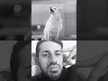sonunu iyi izleyin çok duygulandım #keşfet #merhamet #askreddit #sevgi #keşfetteyiz #keşfetbeniöneç