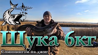 Трофейная щука 6 кг. На джиг.