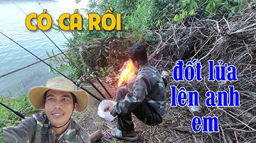 Câu cá sông đồng nai || Một ngày đi câu cá nhớ đời
