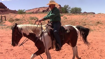 How to Use Leg Cues on Your Horse Part 1