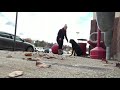 Albany Dog Trainers | Saratoga Dog Trainers | 1 year old Rottweiler Rome Albany Dog Trainers | Saratoga Dog Trainers | 1 year old Rottweiler Rome