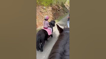 Ride with us 😍 quality time with my family. #shortsvideo #horse #equestrian #kids