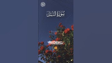 سورة النمل | الآية ٢٤-٢٦ | لي شيخ ياسر الدوسري | #قرآن | #اكتب_شي_توجر_عليهأ | ياسر_الدوسري#quran