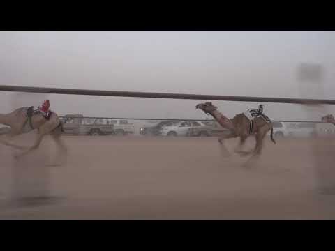 ١المسك ملك عبدالله معيض سراج اليامي