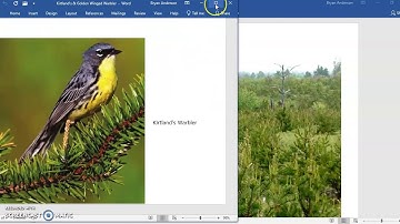 Clearcut & Selective cut