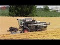 GLEANER Combines Harvesting Wheat