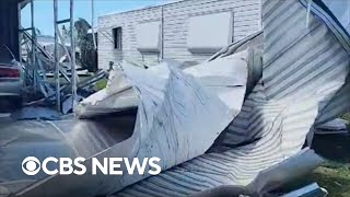 Tree surgeon surveys Hurricane Ian damage: "These poor people got hammered out here"