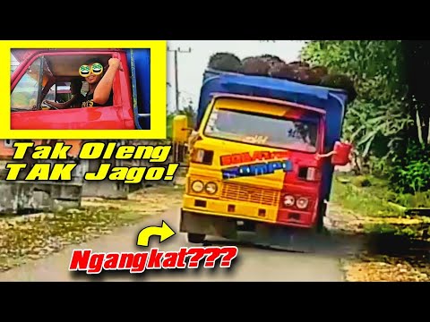  Truk  Oleng  Umplung  Muat Sawit Oleng  Parah Hampir 