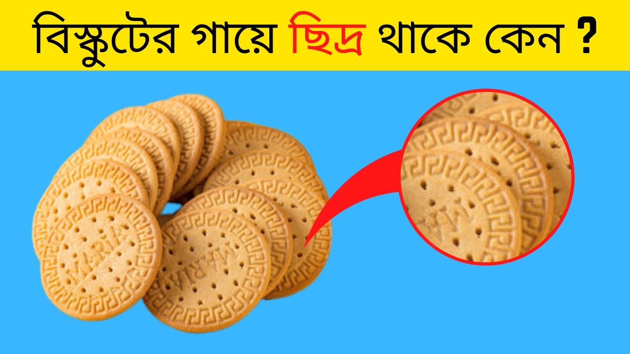 বিস্কুটের গায়ে ছিদ্র থাকে কেন ? 🤔 Why Biscuits Have Holes ? Unknown