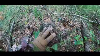 Russian SSO Senezh footage compilation Sumy Oblast 