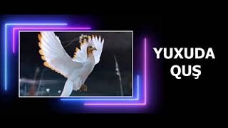 Quş yuxu yozma -  yuxuda qus gormek