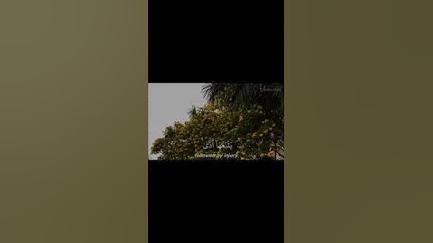 اكتب شي تؤجر عليه 🩵أرح سمعك 🎧🤍😴 #quran #quran_alkarim #قرآن_كريم #قران #تلاوة_خاشعة