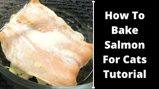 HOW TO BAKE SALMON FOR CATS  TUTORIAL