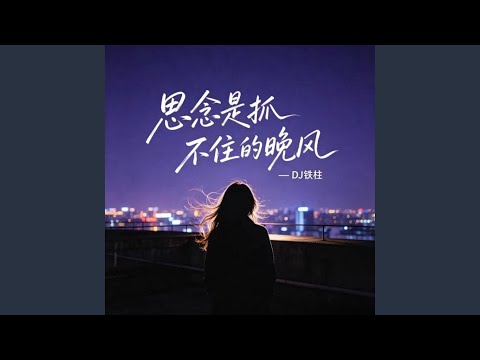 思念是抓不住的晚风
