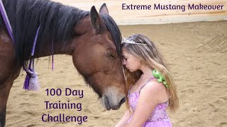 CA Extreme Mustang Makeover 2020 Snooze's Journey (100 Day Wild Mustang Challenge)