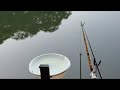 【実釣ライブ】ヘラブナ!早朝配信😊