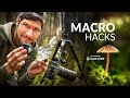 7 Macro Photography Hacks in 90 Seconds!