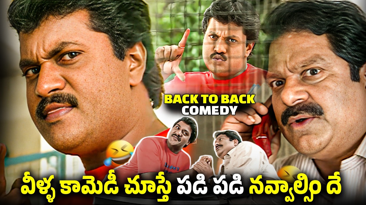 Dharmavarapu Subramanyam & Sunil and Krishna Bhagawan Back to Back Comedy Scenes | Classic Comedy