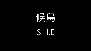 【候鳥 Migratory Bird】S.H.E《歌詞》