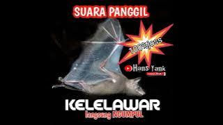 SUARA PIKAT KELELAWAR 💯% AMPUH