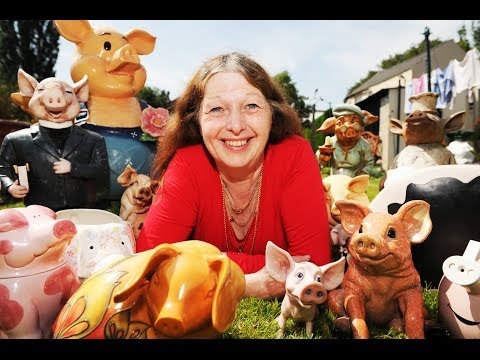 World's Biggest Model Pig Collection