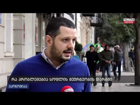 რა პრობლემებია სოფლის მეურნეობის დარგში