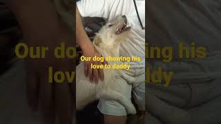 ourdogshowinghislovetodaddy shortvideo thaifildaughtereunice